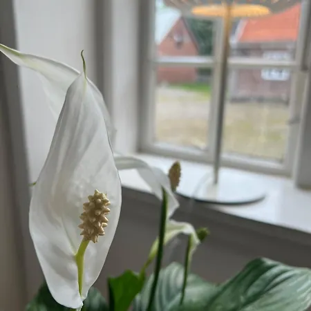 In Historic Manor By The Limfjord *