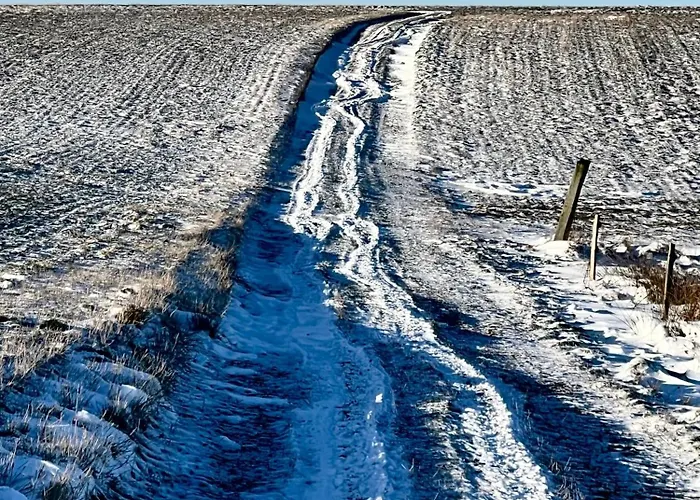 In Family-owned, Historic Manor