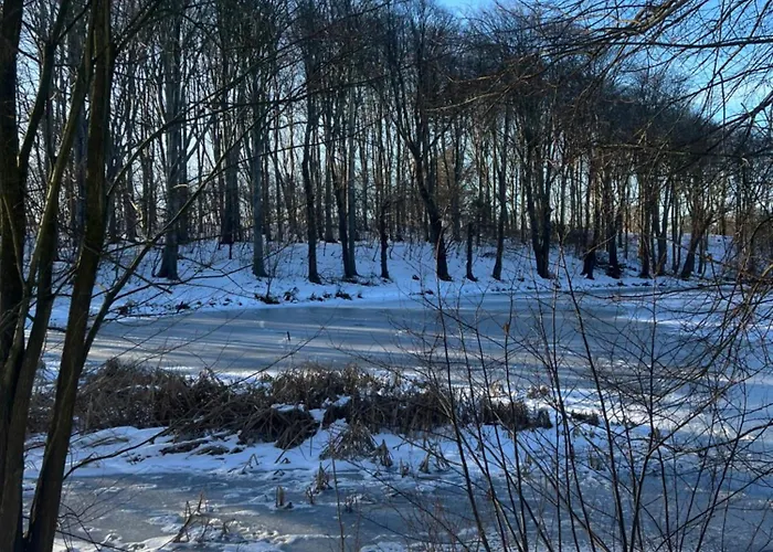 In Family-owned, Historic Manor * Thyholm