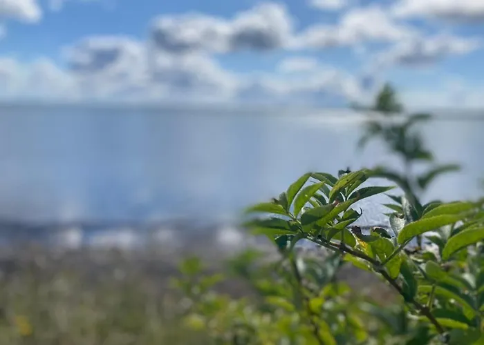 In Family-owned, Historic Manor