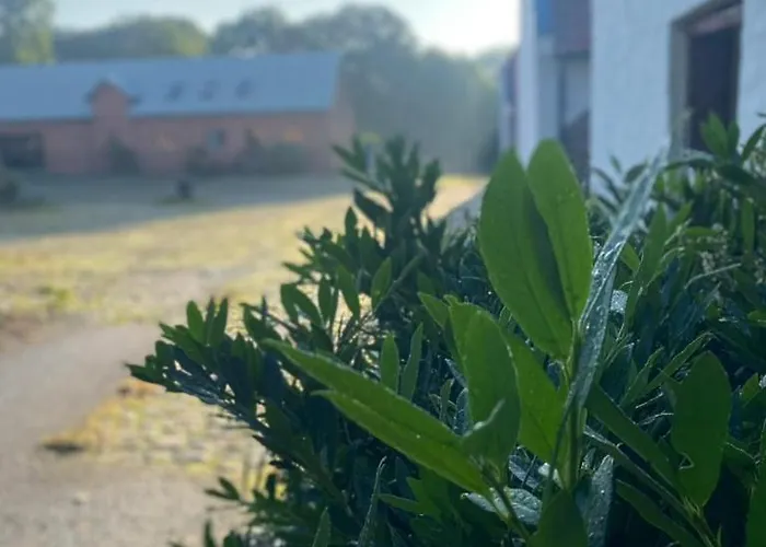 In Family-owned, Historic Manor *